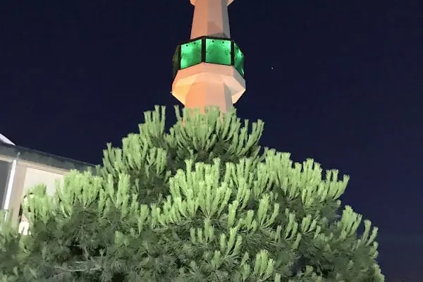 Hacı İbrahim Bostancı Camii - Resim 15