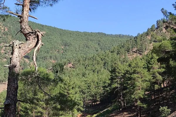 Aladağlar Milli Parkı Yahyalı - Resim 6