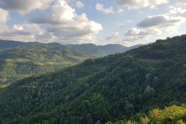 Yuvacık Çamlıtepe Restaurant - Resim 16