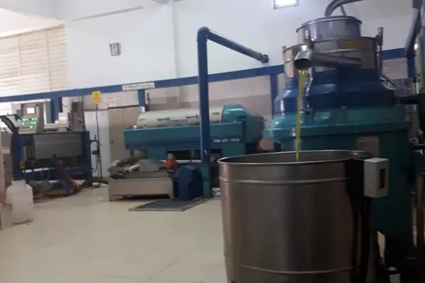 CEMİL ÇAVUŞOĞLU ZEYTİNYAĞI FAB. VE FISTIK İŞLEME TESİSİ - Resim 11