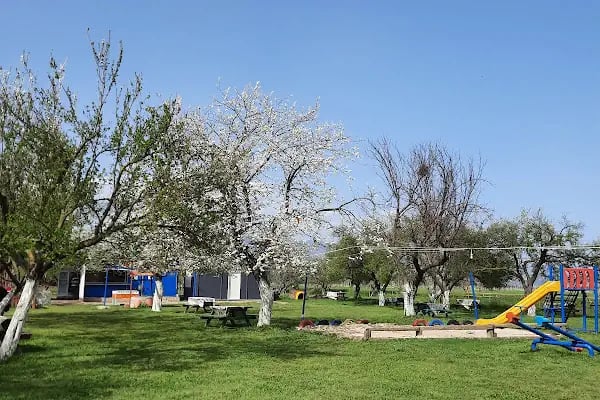 Atlı bahçem - Resim 8