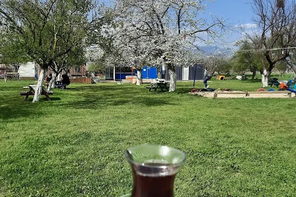 Atlı bahçem - Resim 15