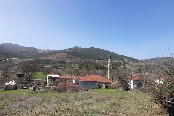 Piribeyler İstasyon camii - Resim 4