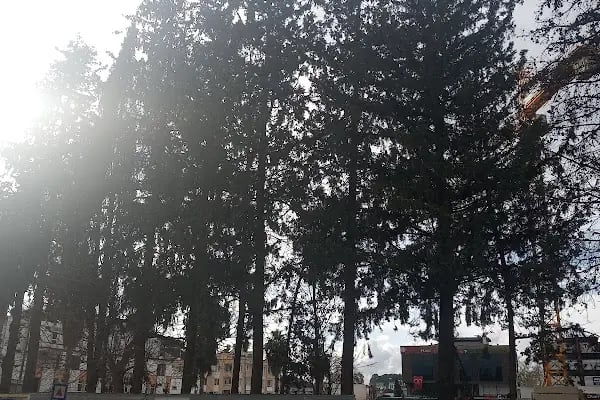 Ptt Kargo Aksu Şubesi - Resim 11
