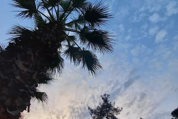 Güzel İzmir Parkı - Resim 17