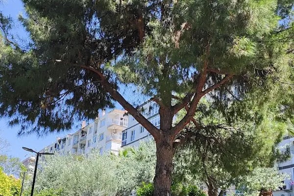 Güzel İzmir Parkı - Resim 11