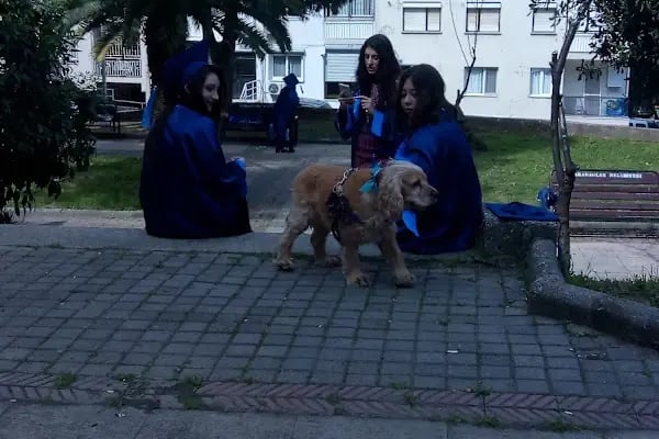 Güzel İzmir Parkı - Resim 5
