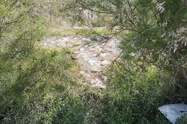 Güzel İzmir Parkı - Resim 14