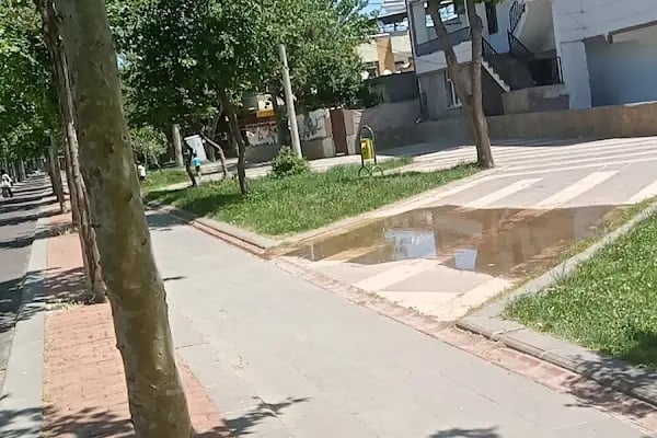 Bağlar Belediyesi Gulan Parkı - Resim 13