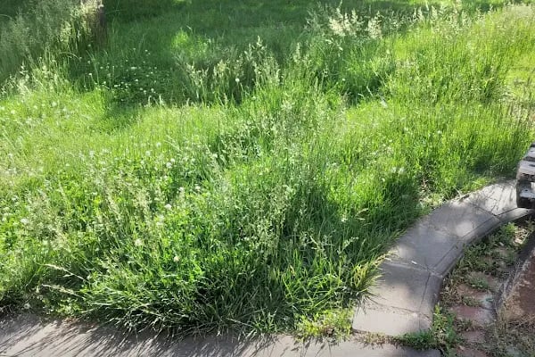 Bağlar Belediyesi Gulan Parkı - Resim 15