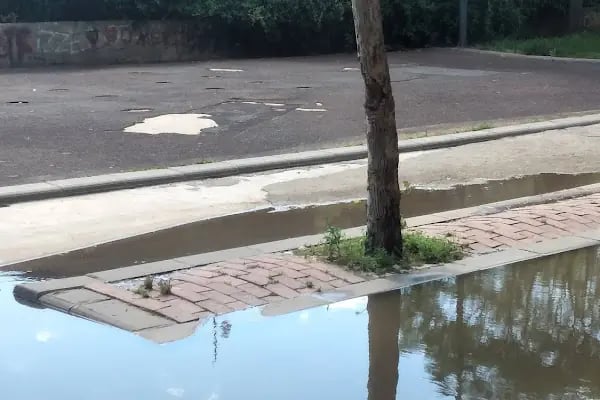 Bağlar Belediyesi Gulan Parkı - Resim 5