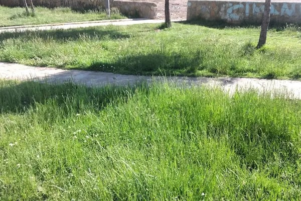Bağlar Belediyesi Gulan Parkı - Resim 18