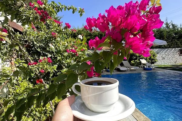 Elysium Boutique Hotel - Resim 3