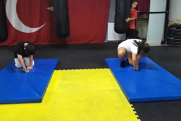 Anka Dojo Samsun - Resim 11