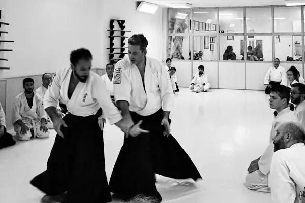Torii Dojo - Resim 7
