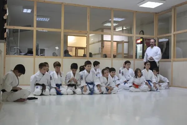 Torii Dojo - Resim 4