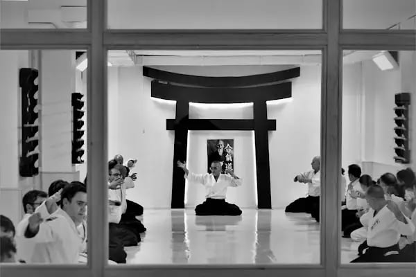Torii Dojo - Resim 5