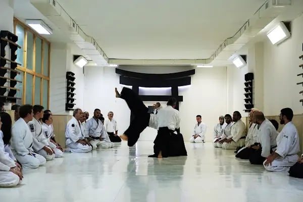 Torii Dojo - Resim 2