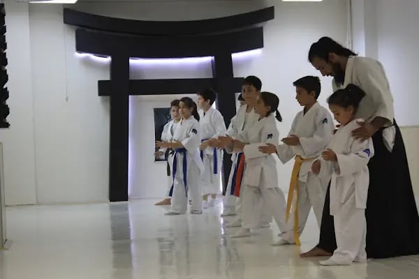 Torii Dojo - Resim 1
