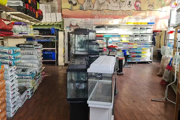Tweety Pet Shop &amp; Yem Market - Resim 13