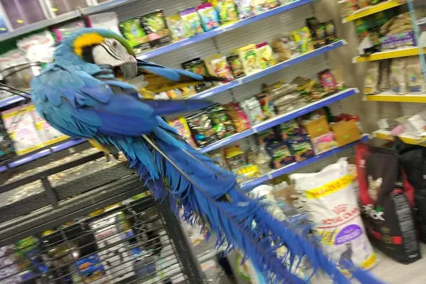 Tweety Pet Shop &amp; Yem Market - Resim 12