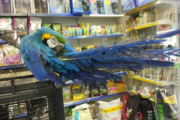 Tweety Pet Shop &amp; Yem Market - Resim 15