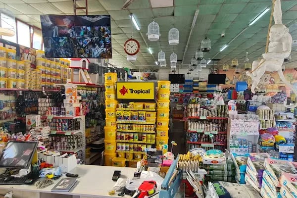 Tweety Pet Shop &amp; Yem Market - Resim 4