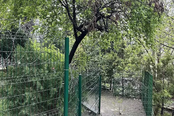 Zuhurat Baba Türbesi - Resim 12