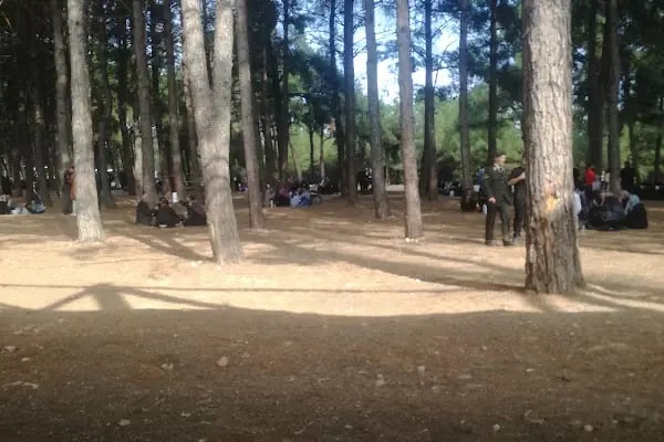 MSÜ Kara Astsubay Meslek Yüksekokulu - Resim 2