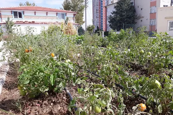 Şule Yüksel Şenler Anaokulu - Resim 6