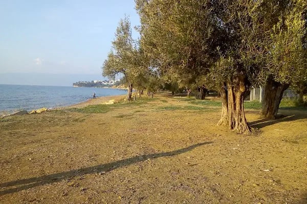 Altınyol Koyu - Resim 5