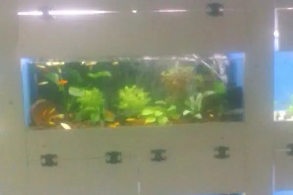 EEE PETSHOP - Resim 3