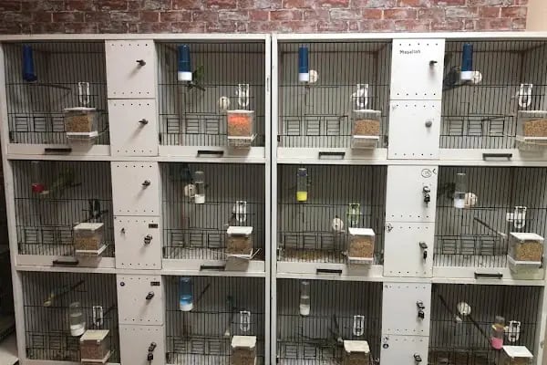 EEE PETSHOP - Resim 2