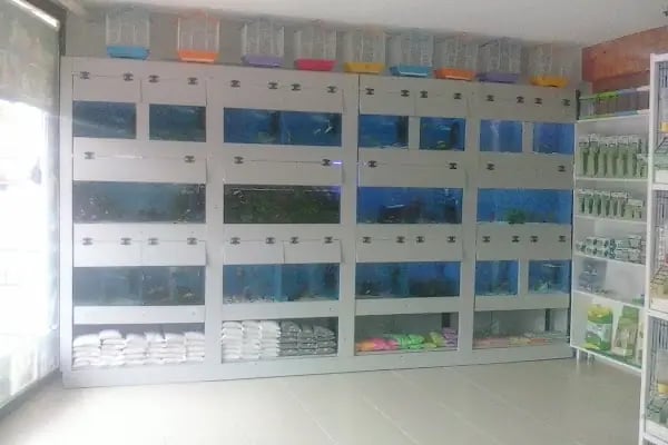 EEE PETSHOP - Resim 6
