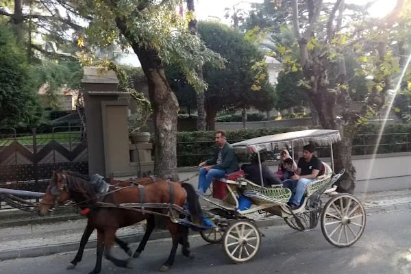 Con Paşa Köşkü - Resim 8