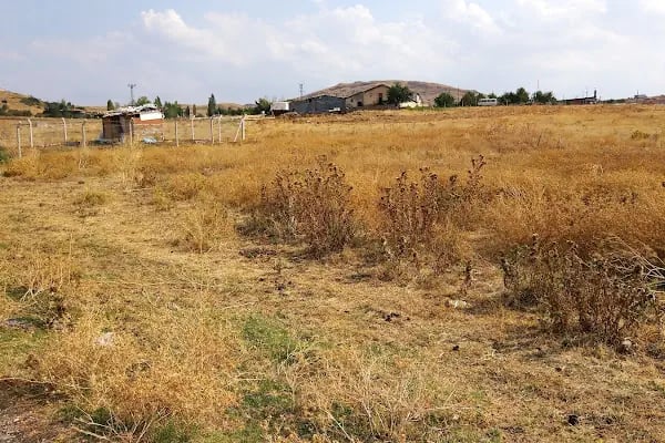 AB-Karapürçek Güreş Alanı - Resim 3