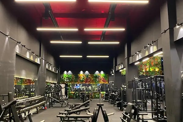Zone Pilates &amp; Fitness - Resim 2