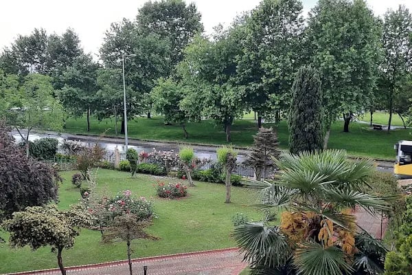 Akvaryum Sitesi - Resim 2