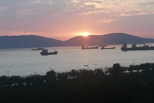 Akvaryum Sitesi - Resim 5