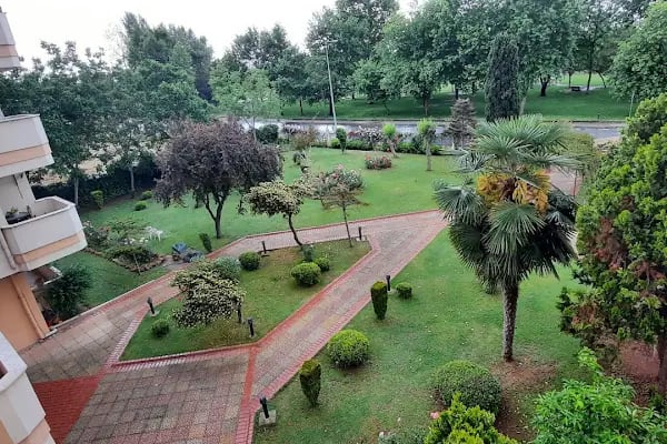Akvaryum Sitesi - Resim 4