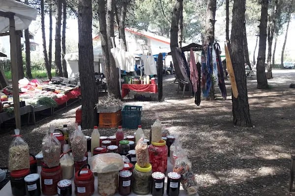 alaçamdan Gökçeboğaz Köy Ürünleri Pazarı (Gökçeboğaz Kadın Kooperatifi) - Resim 14