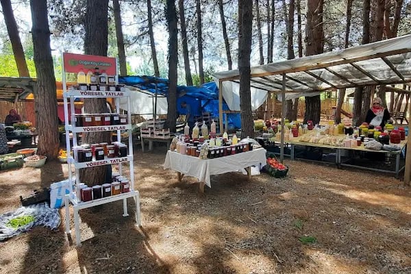 alaçamdan Gökçeboğaz Köy Ürünleri Pazarı (Gökçeboğaz Kadın Kooperatifi) - Resim 3