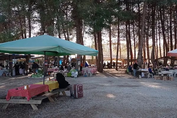 alaçamdan Gökçeboğaz Köy Ürünleri Pazarı (Gökçeboğaz Kadın Kooperatifi) - Resim 17