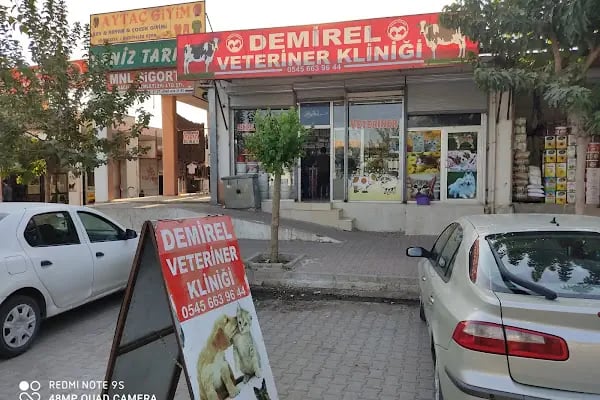Demirel Veteriner Kliniği (Acil - Resim 10