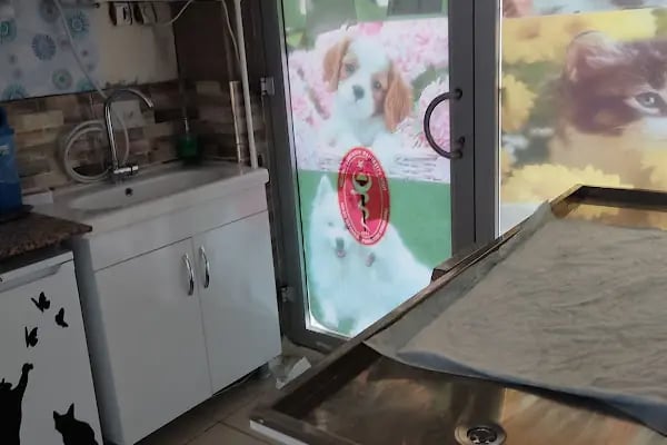 Demirel Veteriner Kliniği (Acil - Resim 14