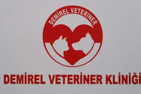 Demirel Veteriner Kliniği (Acil - Resim 7