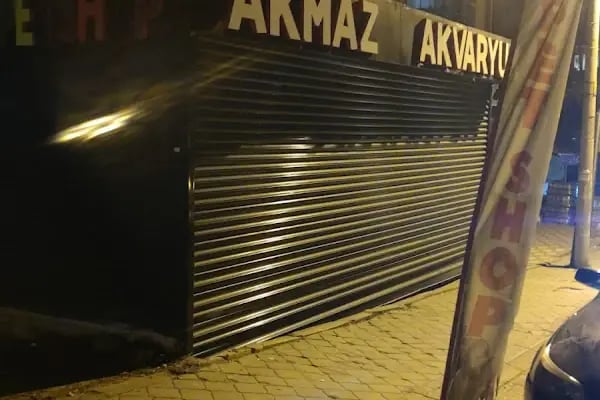 Akmaz Akvaryum - Resim 18