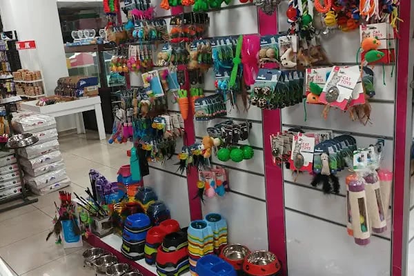 ŞİLA &amp; MİNİK DOSTLAR DİYARBAKİR PET SHOP AKVARYUM - Resim 18
