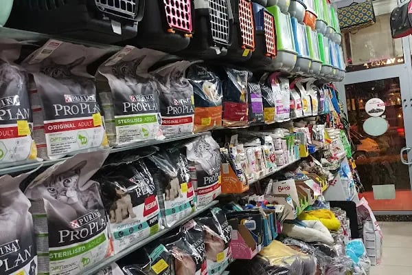 ŞİLA &amp; MİNİK DOSTLAR DİYARBAKİR PET SHOP AKVARYUM - Resim 16