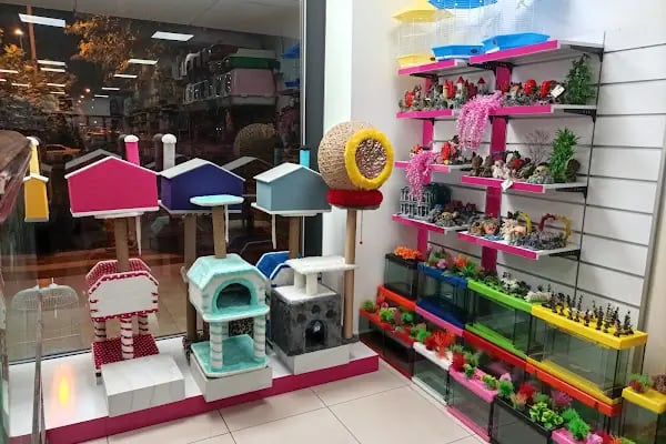 ŞİLA &amp; MİNİK DOSTLAR DİYARBAKİR PET SHOP AKVARYUM - Resim 12